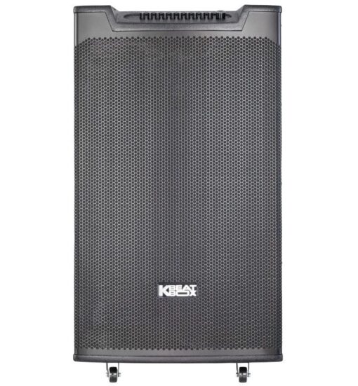 Loa karaoke Acnos di động Top 530 bass 50cm 50kg 300W Bluetooth 2 Micro