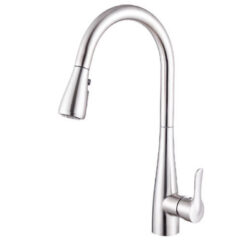 Vòi rửa inox 304 nóng lạnh Eurogold EUF119MR