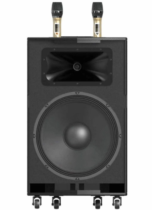 Loa kéo tay Paramax Dansing HK-396S 2 mic 2 loa 400W  31.4Kg