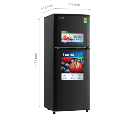 Tủ lạnh Funiki Inverter HR-T8209TDG 209 lít