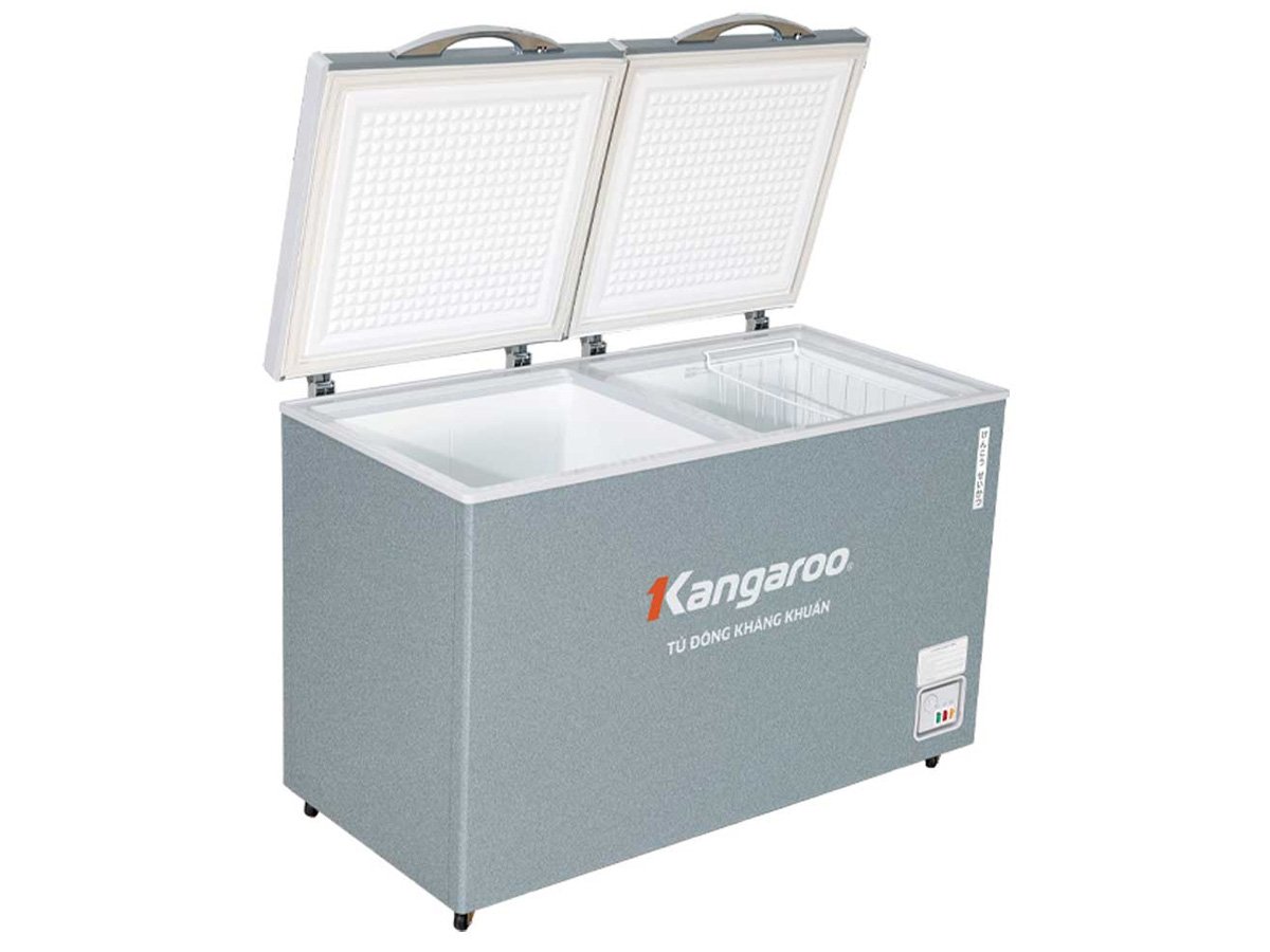 Tủ đông kháng khuẩn 2 ngăn 2 cánh không kính 327 lít KGFZ389NG2