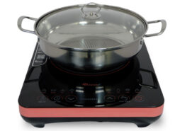 Bếp từ 1 vùng nấu Sowun SW 169S