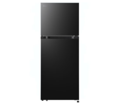 Tủ lạnh LG Inverter 217 lít T21BG