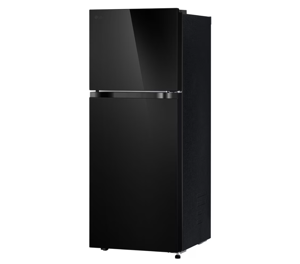 Tủ lạnh LG Inverter 217 lít T21BG