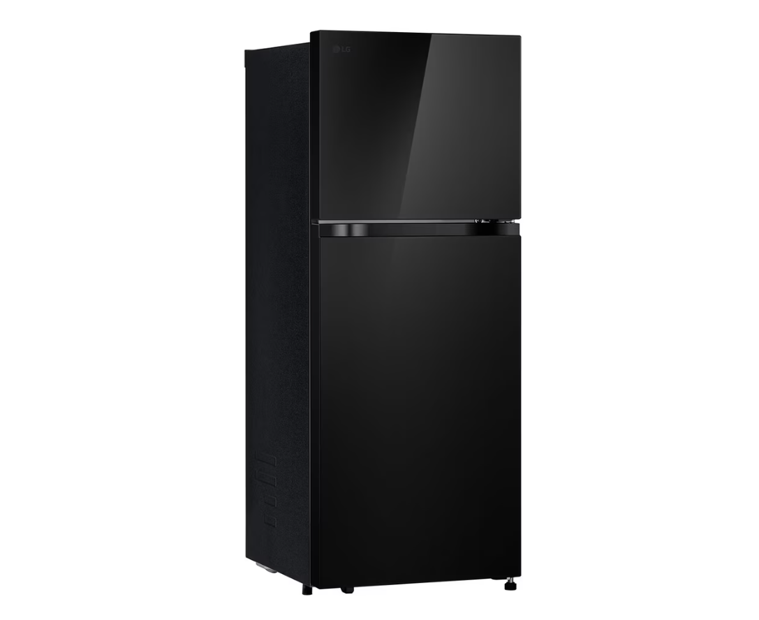 Tủ lạnh LG Inverter 217 lít T21BG