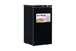Tủ đông Sanaky Inverter 118 lít VH-160K3