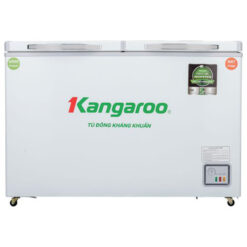 Tủ đông kháng khuẩn 2 cánh Inverter 252 lít KG400IC2